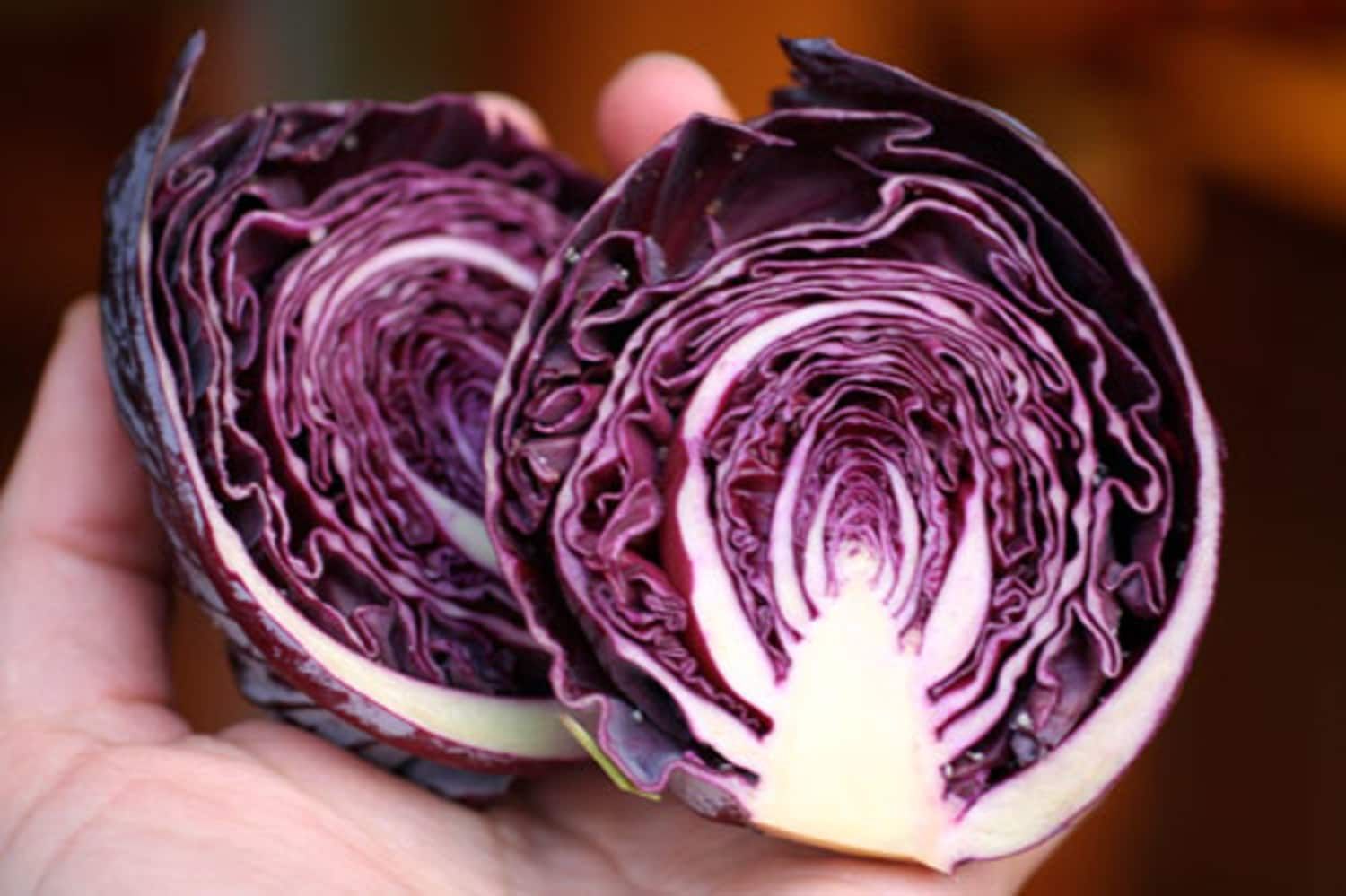 25 Best Red Cabbage Recipes | What To Make With Red