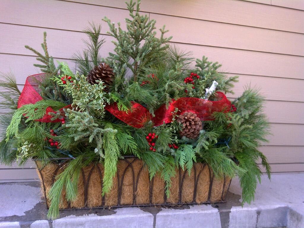 How To Decorate Planters For Christmas