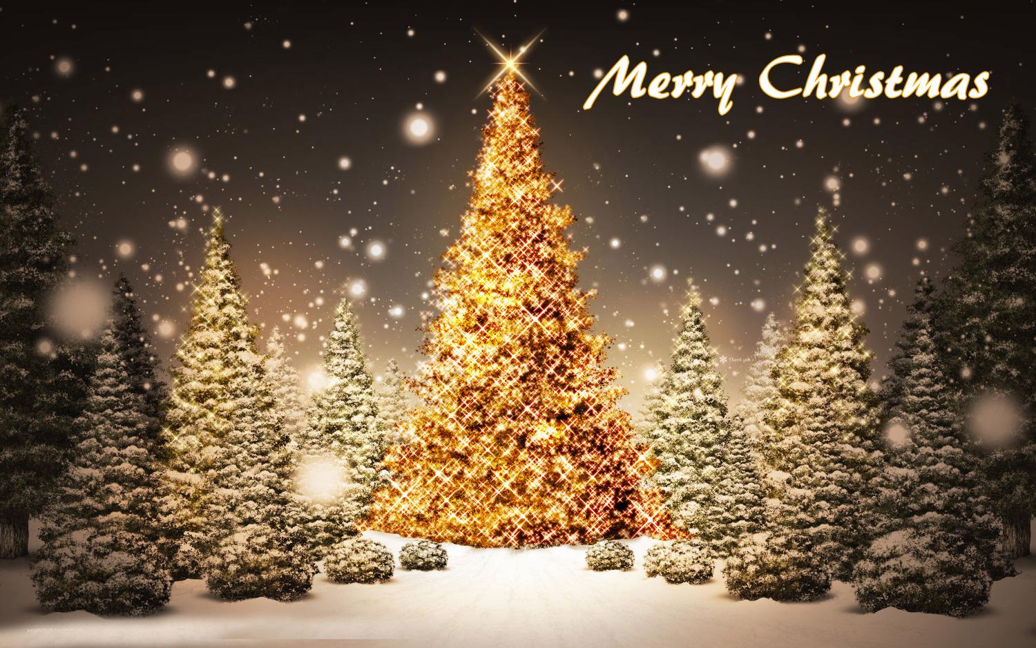 Merry Christmas Tree Images