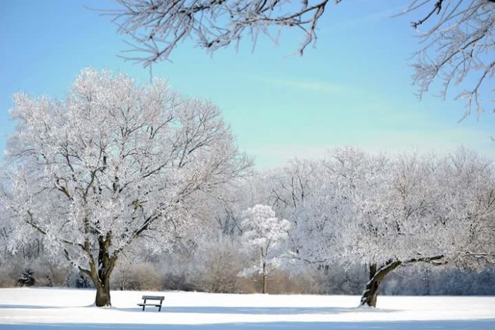 What Kind Of Winter Can Northeast Ohioans Expect This Year?